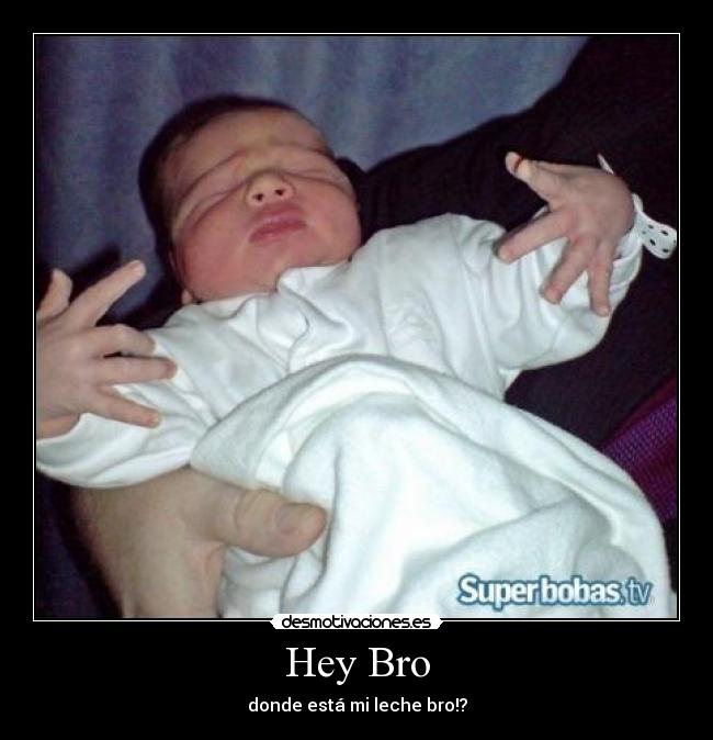 Hey Bro - donde está mi leche bro!?