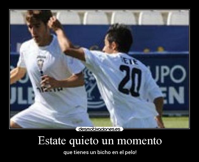 Estate quieto un momento - que tienes un bicho en el pelo!