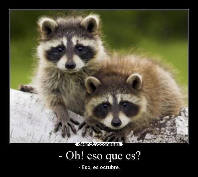 carteles xdddddddddddddddddddddddddddddddddd desmotivaciones