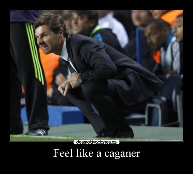 carteles feel like caganer desmotivaciones