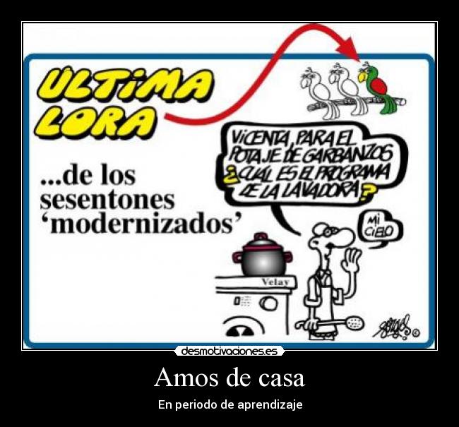 carteles casa desmotivaciones