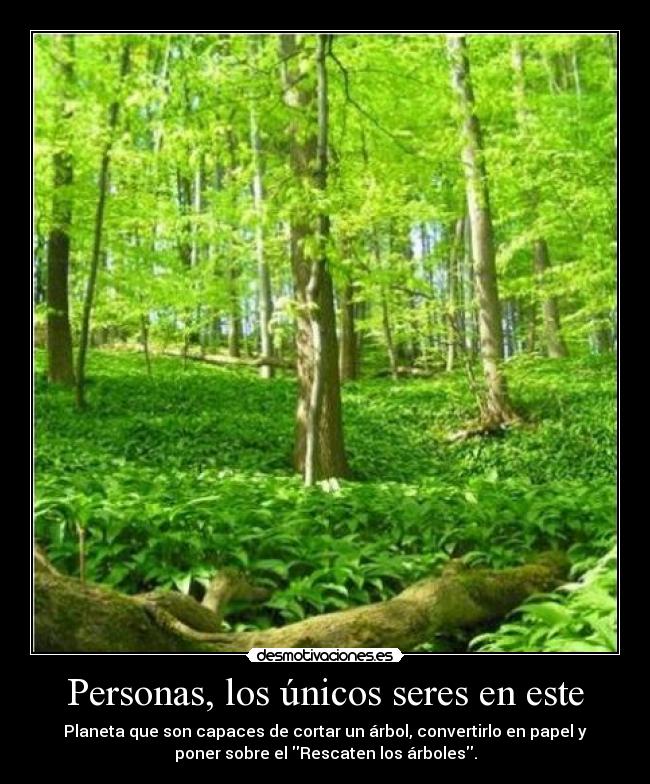 Personas, los únicos seres en este - Planeta que son capaces de cortar un árbol, convertirlo en papel y
poner sobre el Rescaten los árboles.