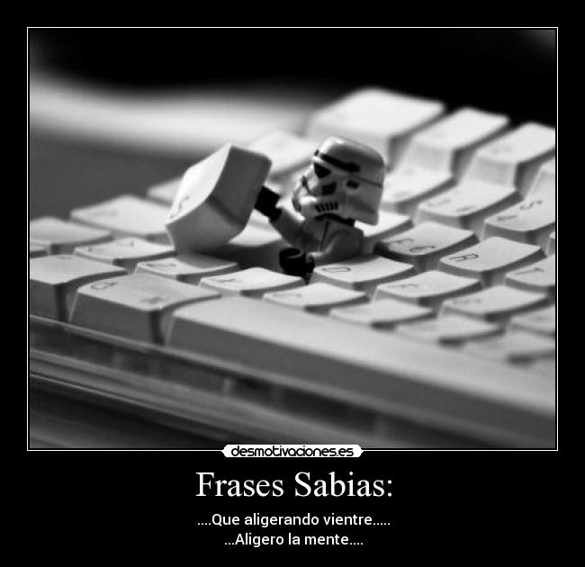 Frases Sabias: - 