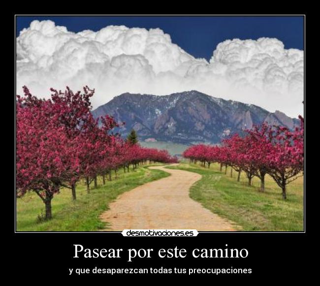 carteles camino desmotivaciones