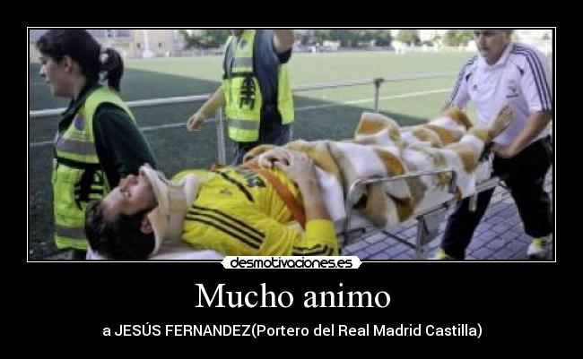 Mucho animo - 