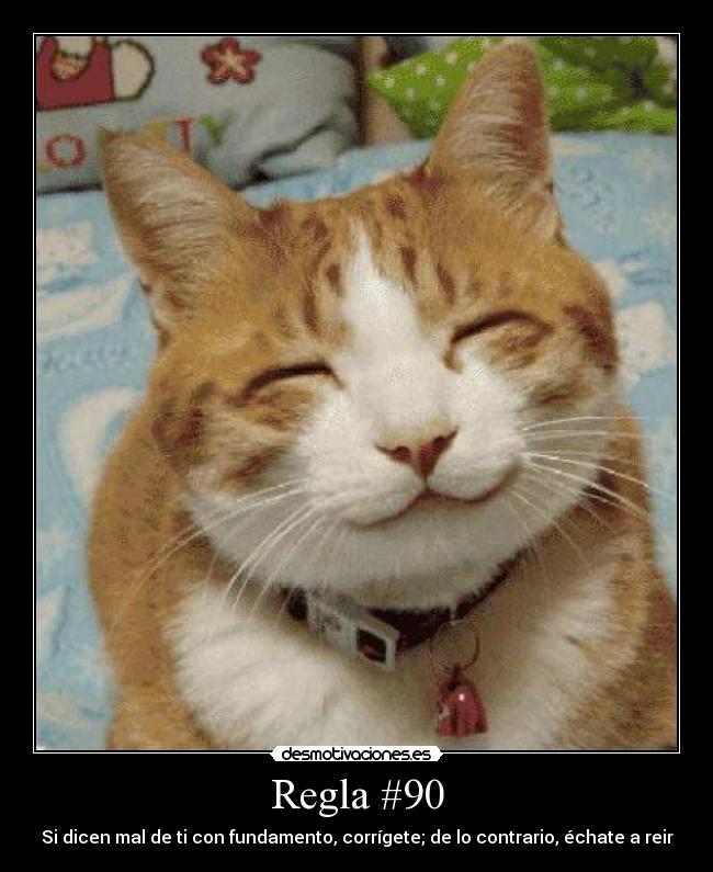 carteles gato sonriendo desmotivaciones