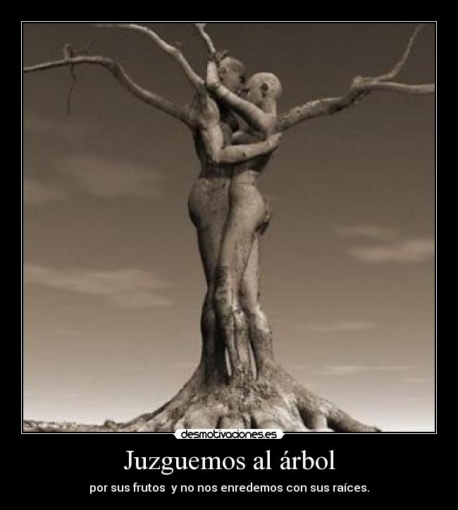 Juzguemos al árbol - por sus frutos y no nos enredemos con sus raíces.