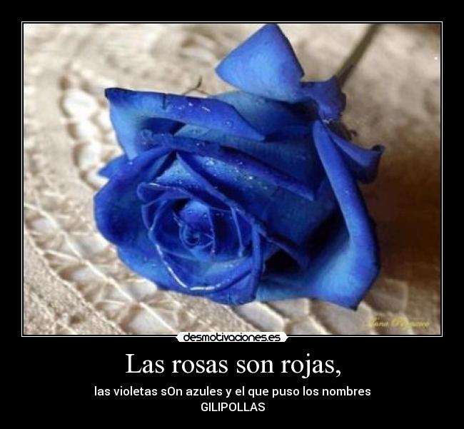 Las rosas son rojas, -