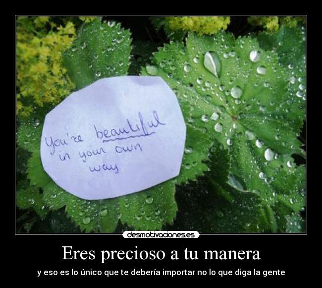 Eres precioso a tu manera -