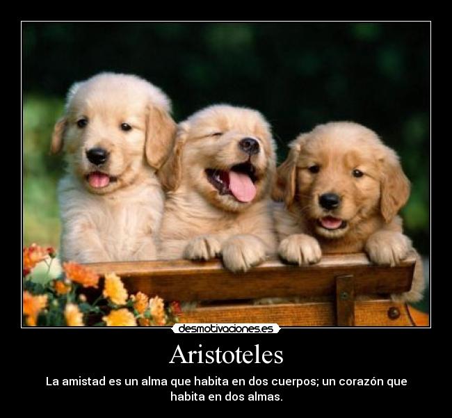 Aristoteles - La amistad es un alma que habita en dos cuerpos; un corazón que
habita en dos almas.