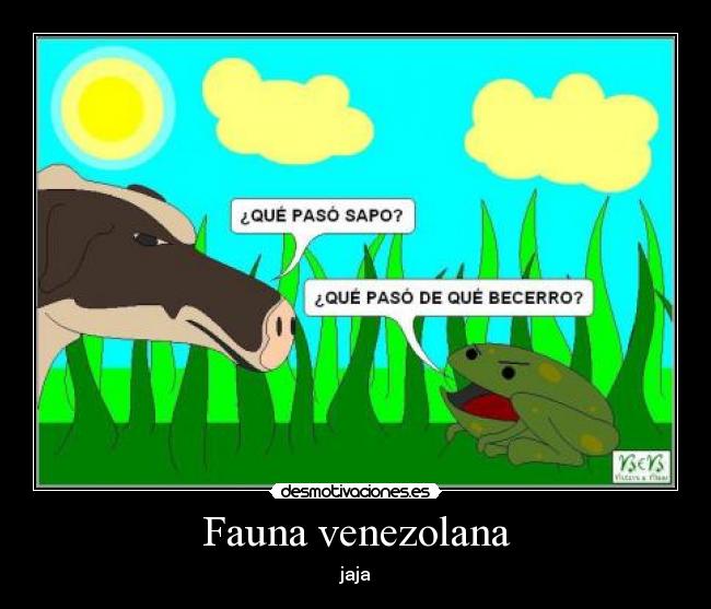 Fauna venezolana - 