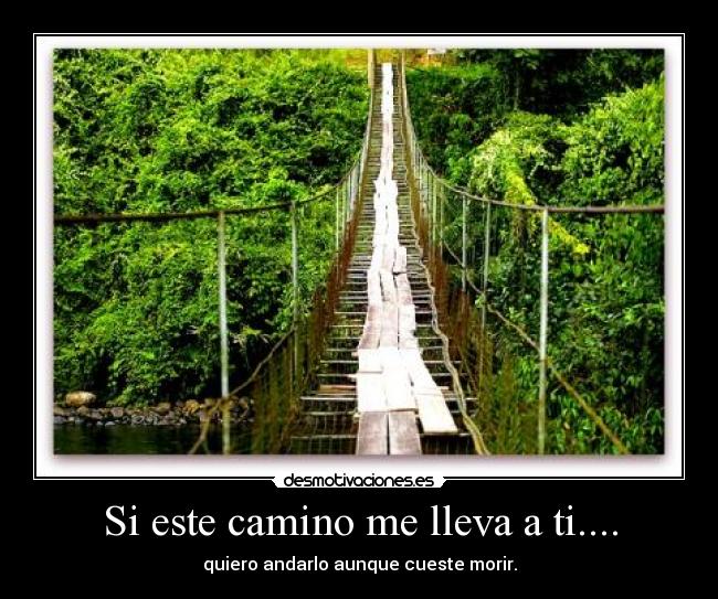 Si este camino me lleva a ti.... - quiero andarlo aunque cueste morir.