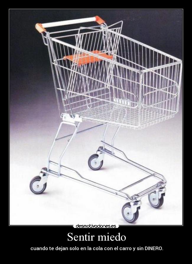 Sentir miedo - cuando te dejan solo en la cola con el carro y sin DINERO.