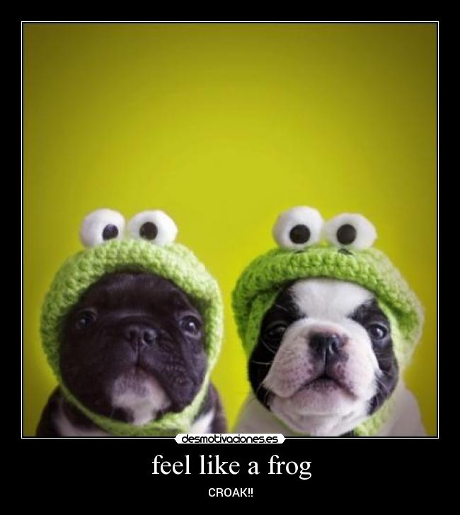 feel like a frog - CROAK!!
