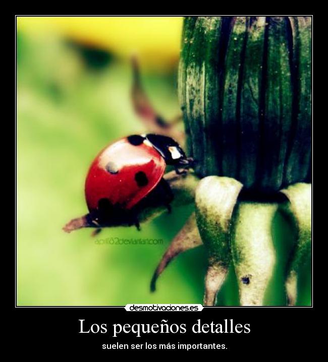 Los pequeños detalles - 