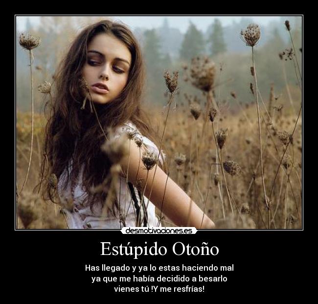 Estúpido Otoño -