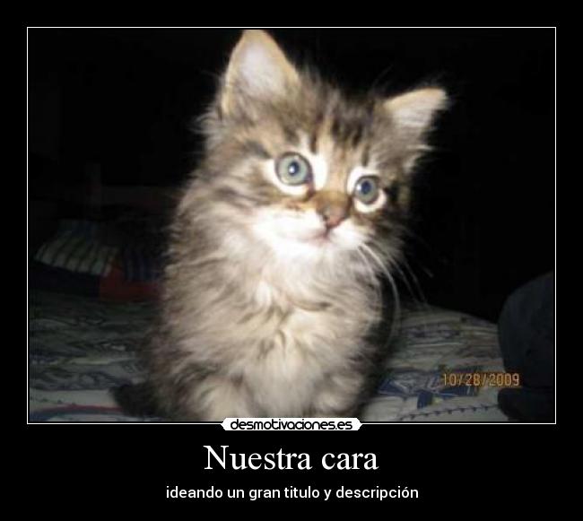 Nuestra cara - ideando un gran titulo y descripción