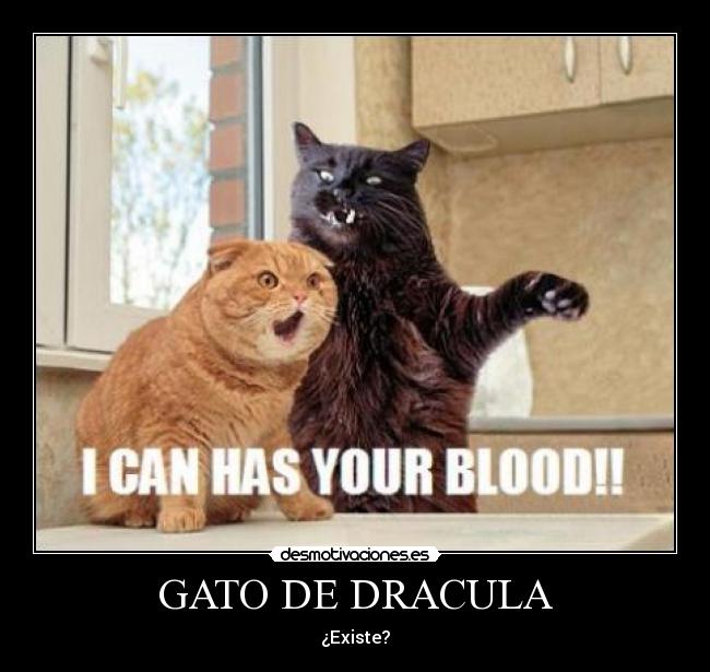 GATO DE DRACULA - ¿Existe?
