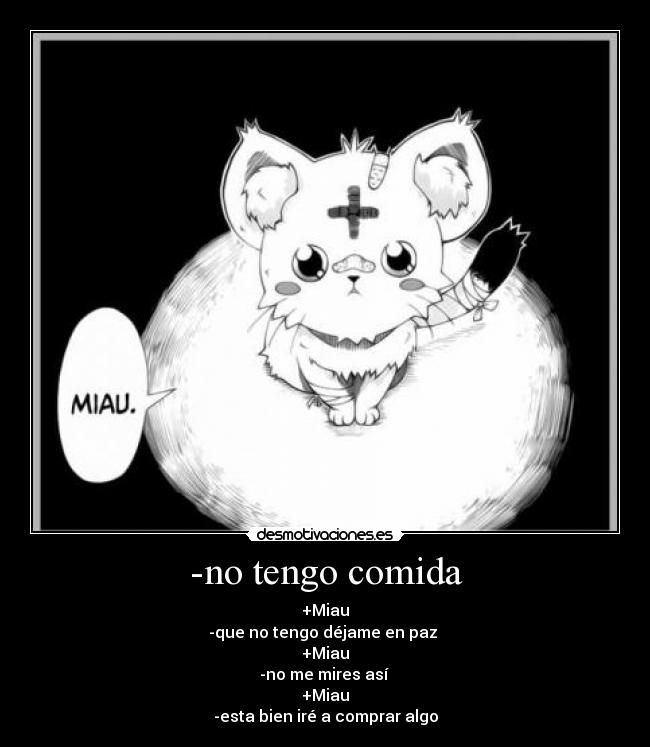 -no tengo comida - +Miau
-que no tengo déjame en paz 
+Miau
-no me mires así 
+Miau
-esta bien iré a comprar algo