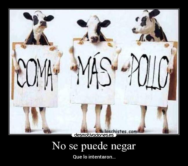 No se puede negar - Que lo intentaron...