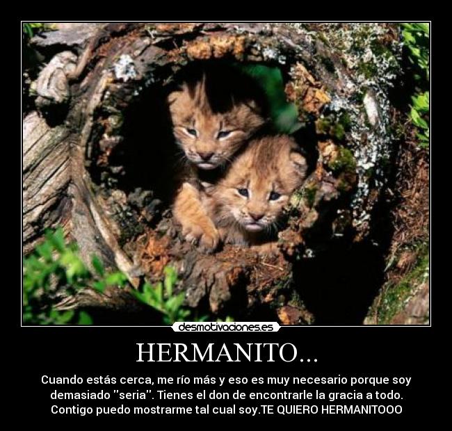 HERMANITO... - Cuando estás cerca, me río más y eso es muy necesario porque soy
demasiado seria. Tienes el don de encontrarle la gracia a todo.
Contigo puedo mostrarme tal cual soy.TE QUIERO HERMANITOOO