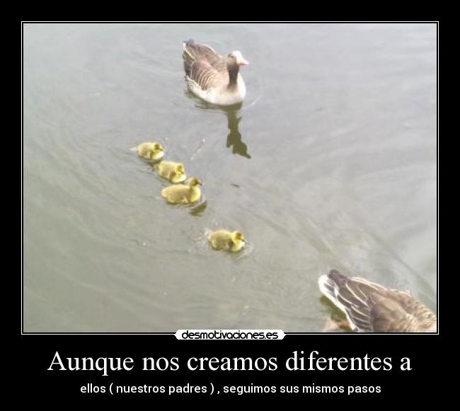 Aunque nos creamos diferentes a - ellos ( nuestros padres ) , seguimos sus mismos pasos