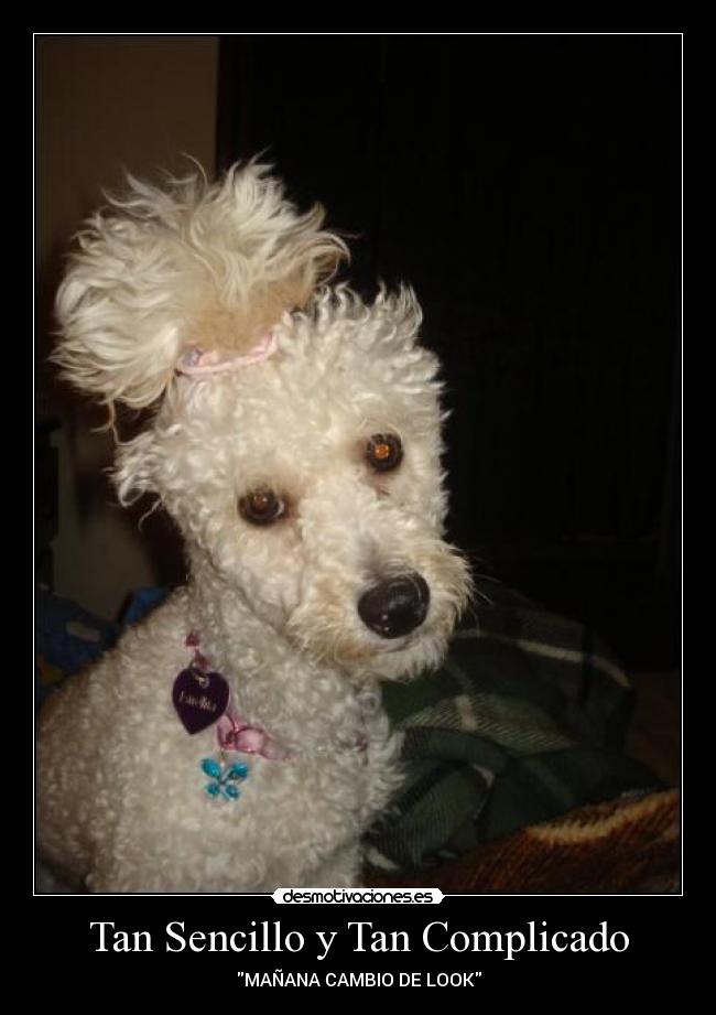 Tan Sencillo y Tan Complicado - 