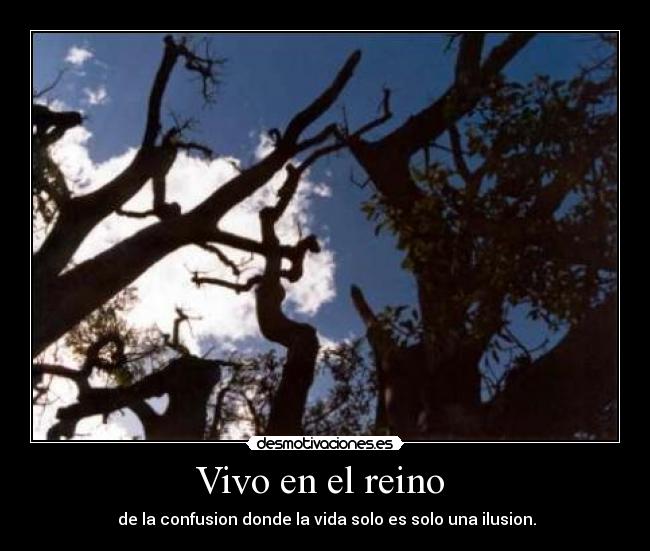 Vivo en el reino - de la confusion donde la vida solo es solo una ilusion.