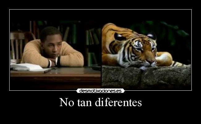 No tan diferentes -