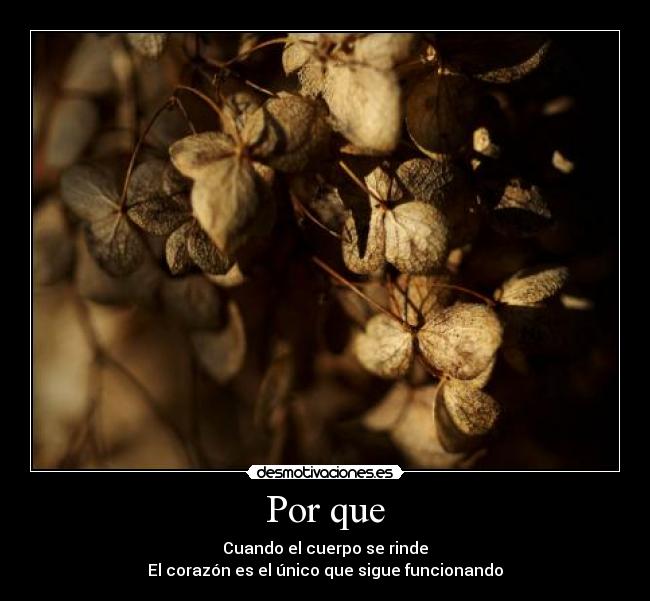 Por que - Cuando el cuerpo se rinde
El corazón es el único que sigue funcionando