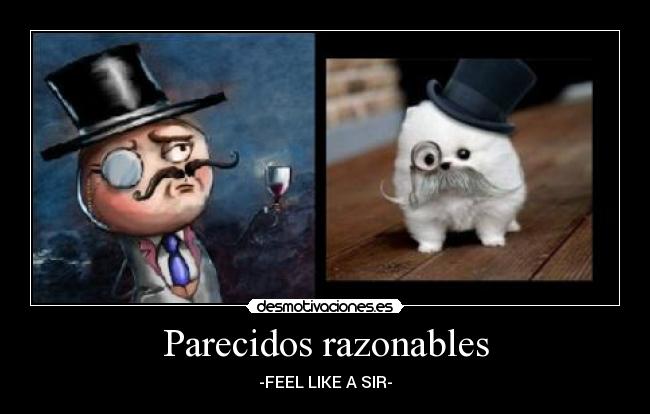 Parecidos razonables - -FEEL LIKE A SIR-