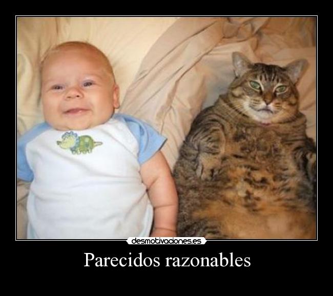 Parecidos razonables - 