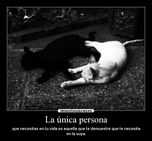 La única persona - que necesitas en tu vida es aquella que te demuestre que te necesita
en la suya.