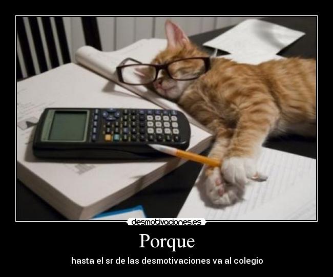 Porque - hasta el sr de las desmotivaciones va al colegio