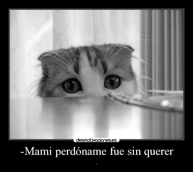-Mami perdóname fue sin querer - .