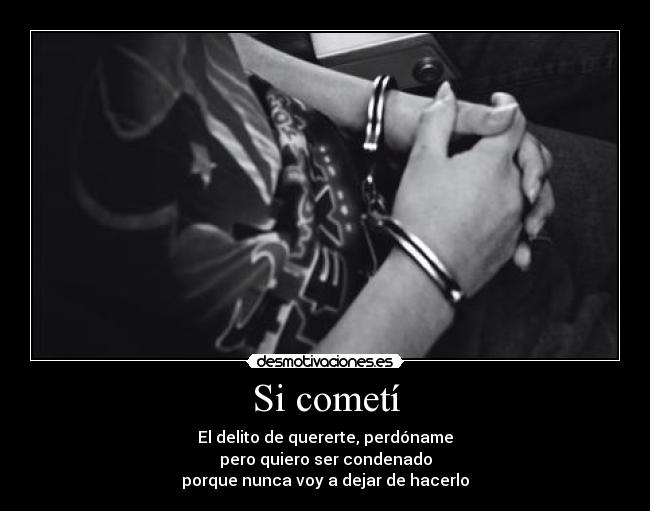 Si cometí - 