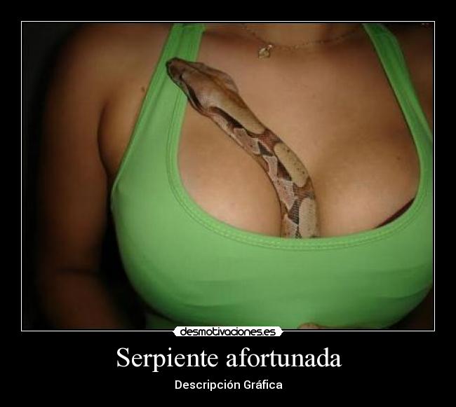 Serpiente afortunada -