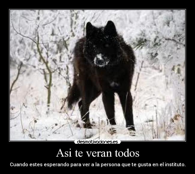 Asi te veran todos - Cuando estes esperando para ver a la persona que te gusta en el instituto.