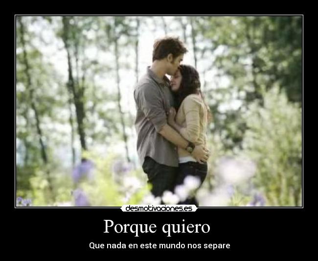 Porque quiero -