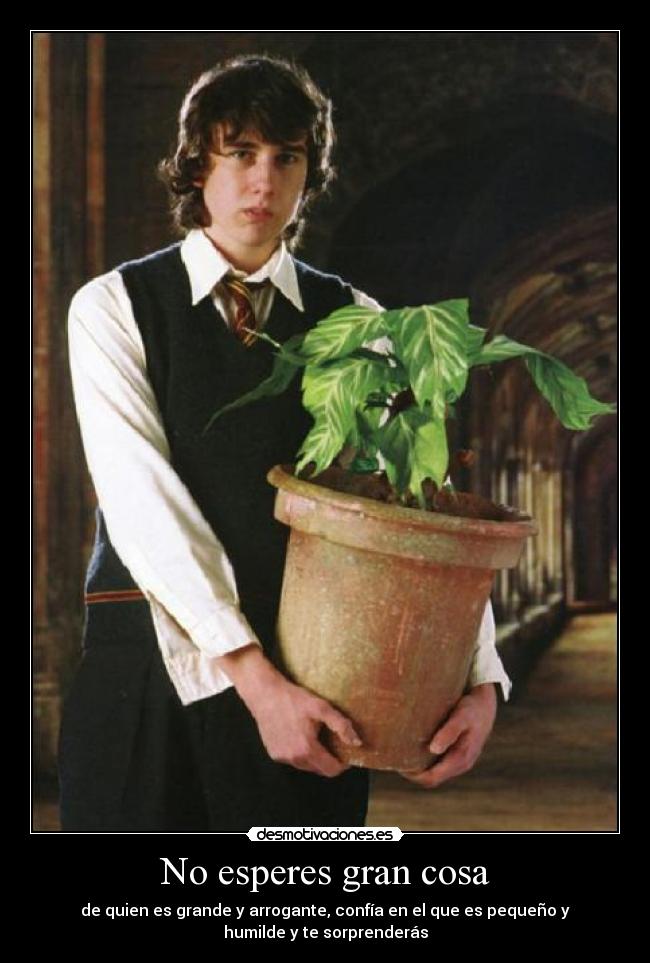 No esperes gran cosa - 