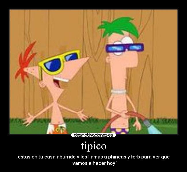 tipico -