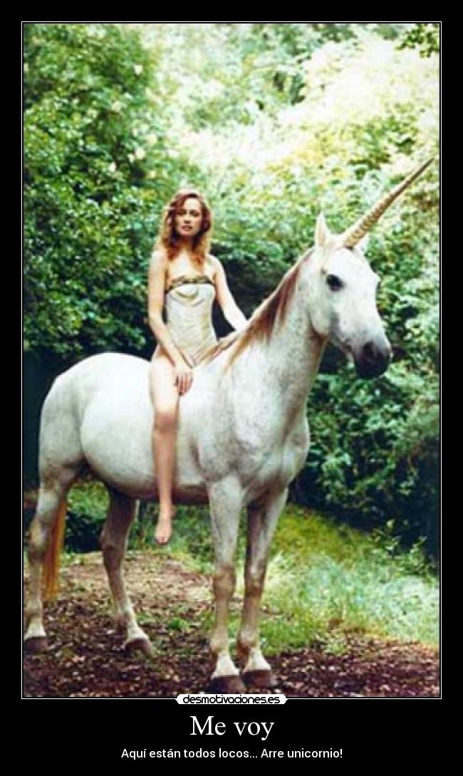 Me voy - Aquí están todos locos... Arre unicornio!
