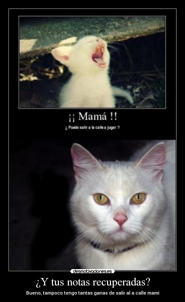 ¿Y tus notas recuperadas? -