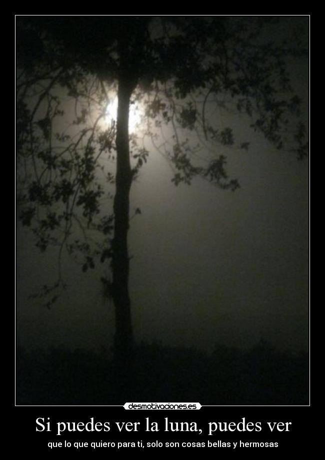 carteles amor desmotivaciones