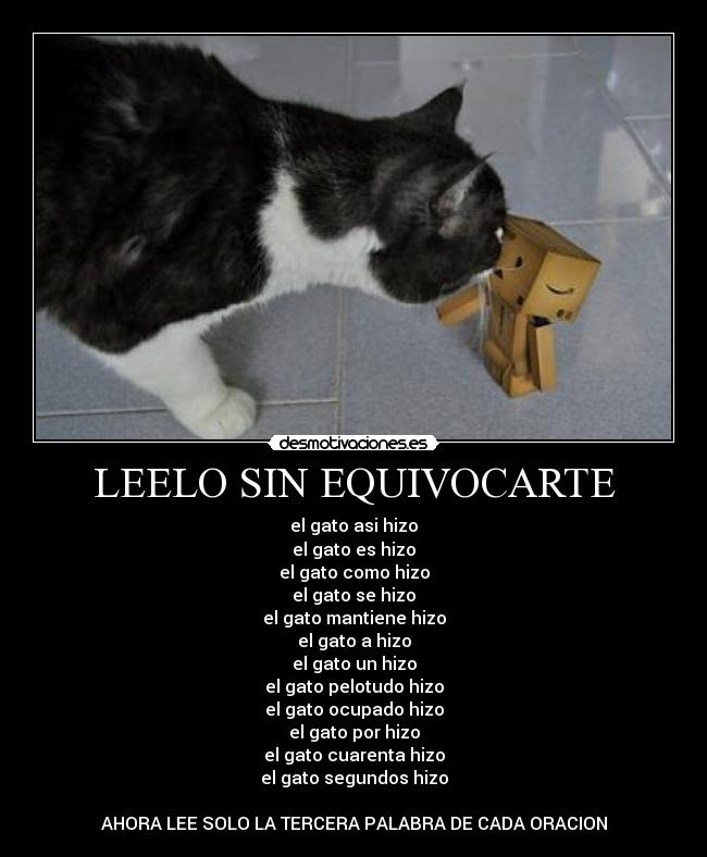 LEELO SIN EQUIVOCARTE - 