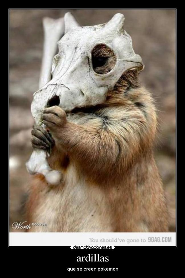 ardillas -