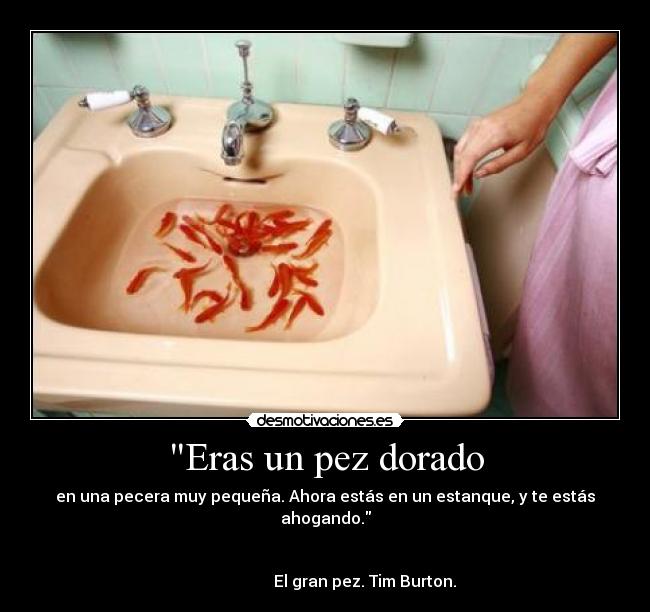 Eras un pez dorado - en una pecera muy pequeña. Ahora estás en un estanque, y te estás ahogando.
El gran pez. Tim Burton.