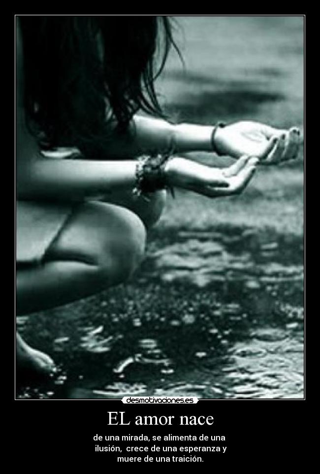 EL amor nace - 