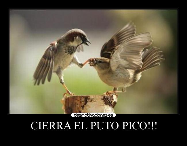 CIERRA EL PUTO PICO!!! -