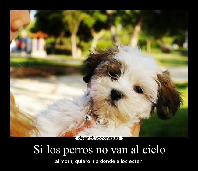 Si los perros no van al cielo - al morir, quiero ir a donde ellos esten.